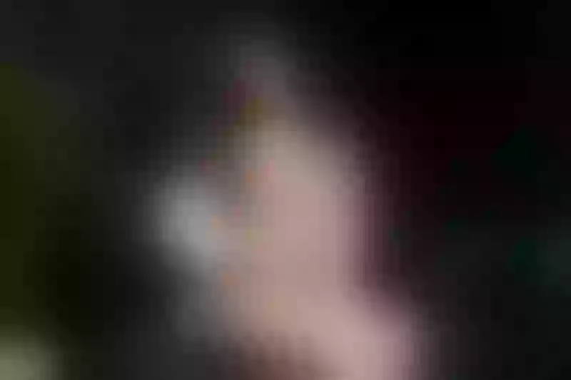 Live sex webcam photo for EmeldaGrace #2730030