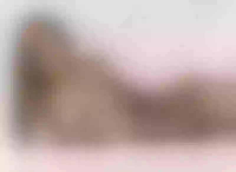 Live sex webcam photo for EricaMorris #2837330