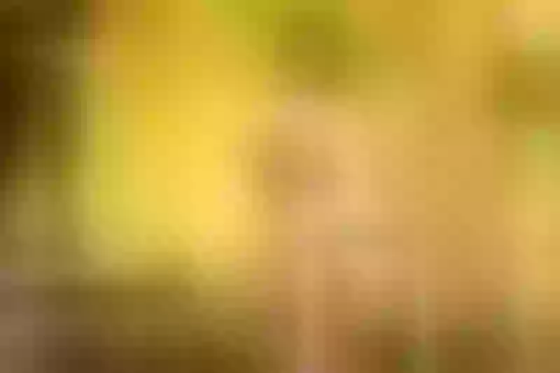Live sex webcam photo for PenelopeOliveira #2757018
