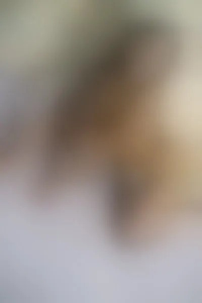 Live sex webcam photo for karolebonyy19 #3316012