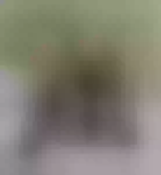 Live sex webcam photo for VeronikaWiills #7111159