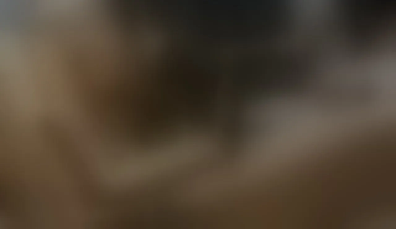 Live sex webcam photo for SkylarSparks #7801079