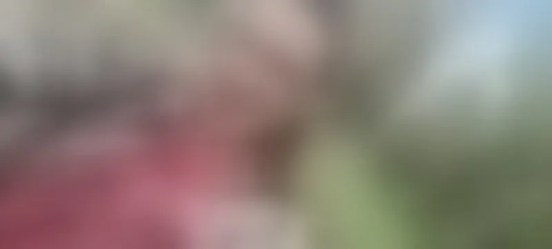 Live sex webcam photo for AlissonShy #7415014