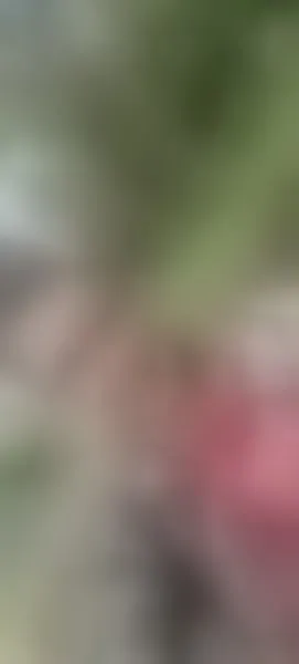 Live sex webcam photo for AlissonShy #7415018