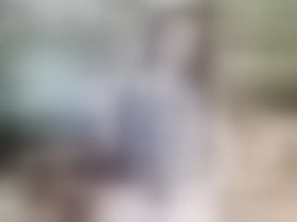 Live sex webcam photo for AlissonShy #7414950