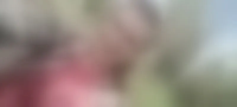 Live sex webcam photo for AlissonShy #7415012