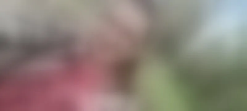 Live sex webcam photo for AlissonShy #7415015