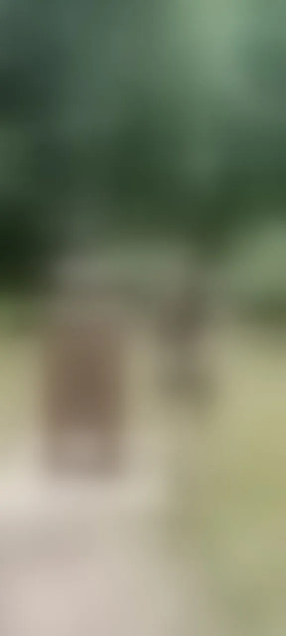 Live sex webcam photo for AlissonShy #7414892