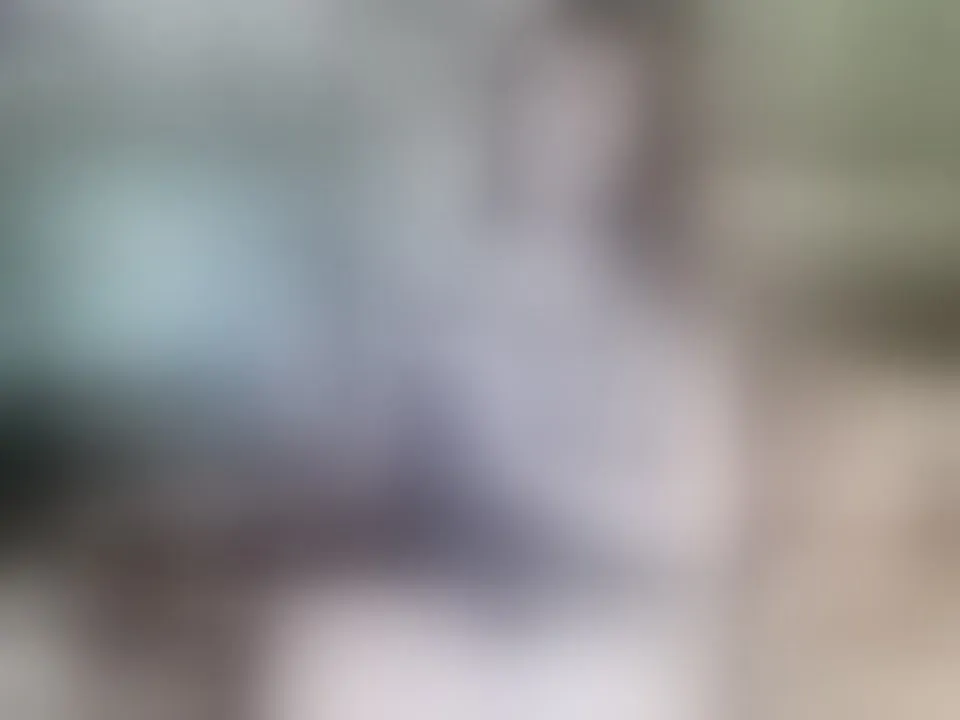 Live sex webcam photo for AlissonShy #7414949