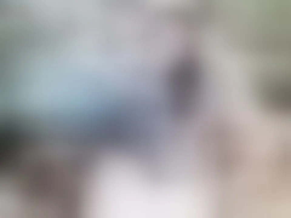 Live sex webcam photo for AlissonShy #7414941