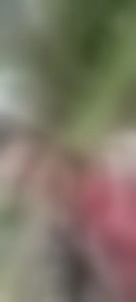Live sex webcam photo for AlissonShy #7415016
