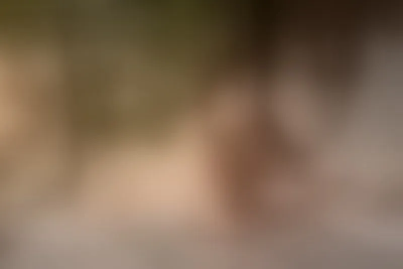 Live sex webcam photo for andreina26 #3545065