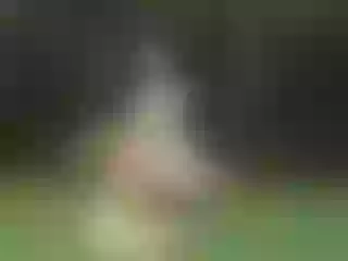 Live sex webcam photo for LindaWatsonz #7745994