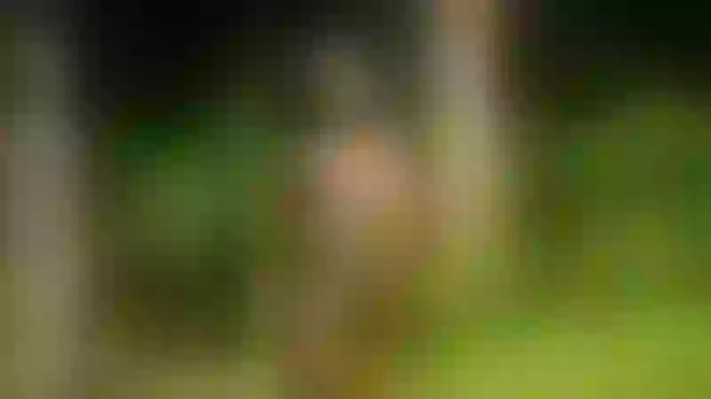 Live sex webcam photo for LewaChasco #3334022
