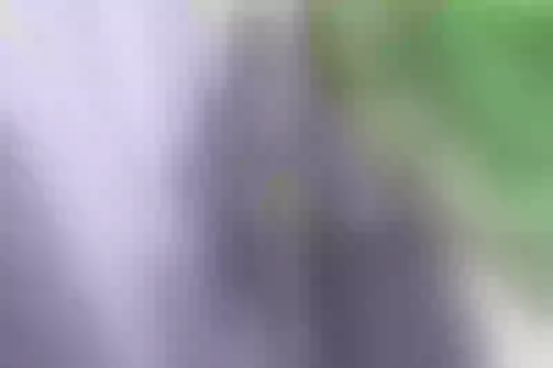 Live sex webcam photo for EvelyneClark #5483426