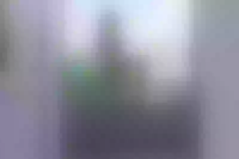 Live sex webcam photo for EvelyneClark #5455853