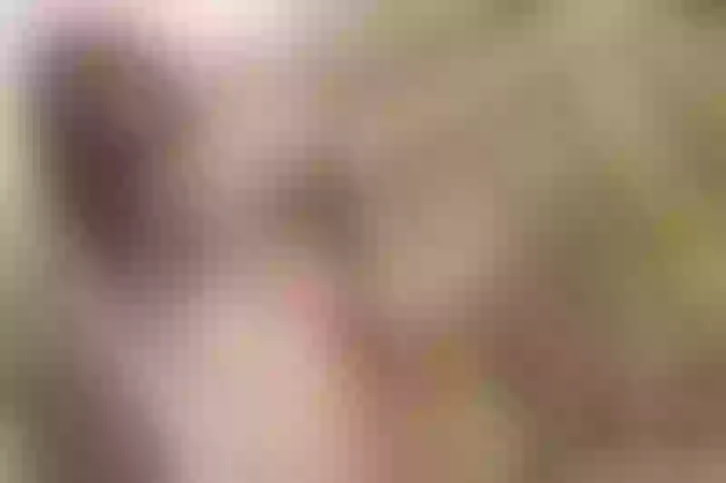 Live sex webcam photo for EvelyneClark #5366111