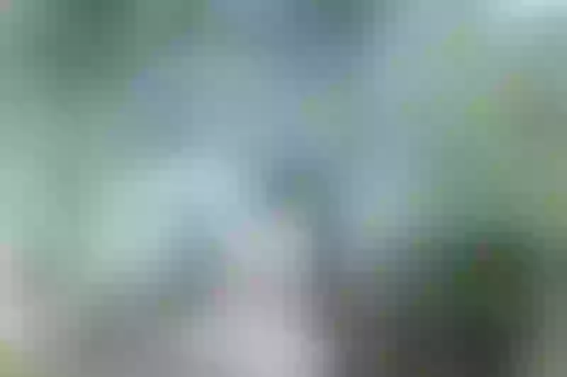 Live sex webcam photo for NatallieClark #4036235