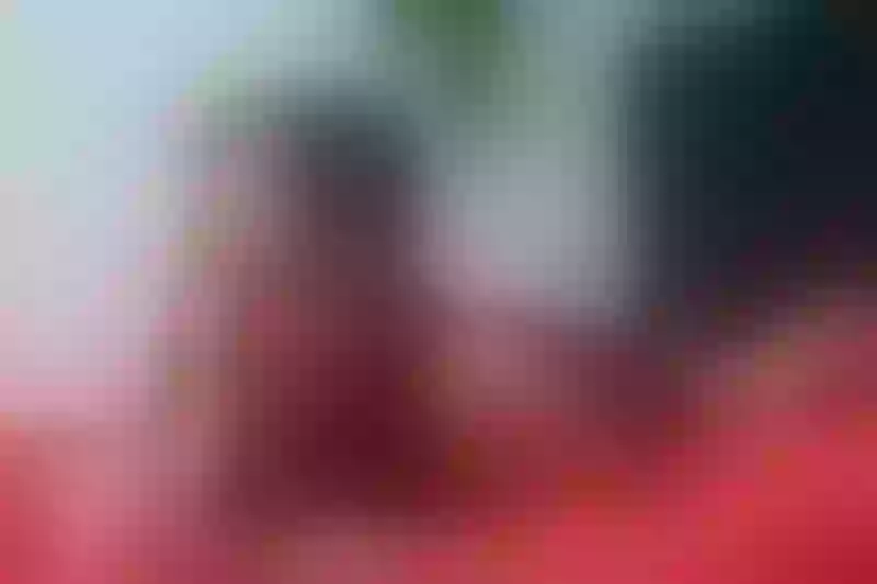Live sex webcam photo for Lorrainepagee #3142258
