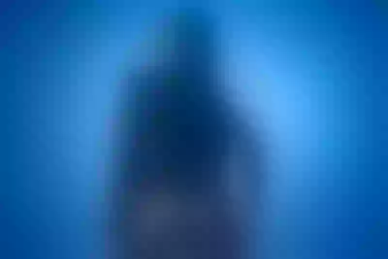 Live sex webcam photo for SalomeKurtis #3297946