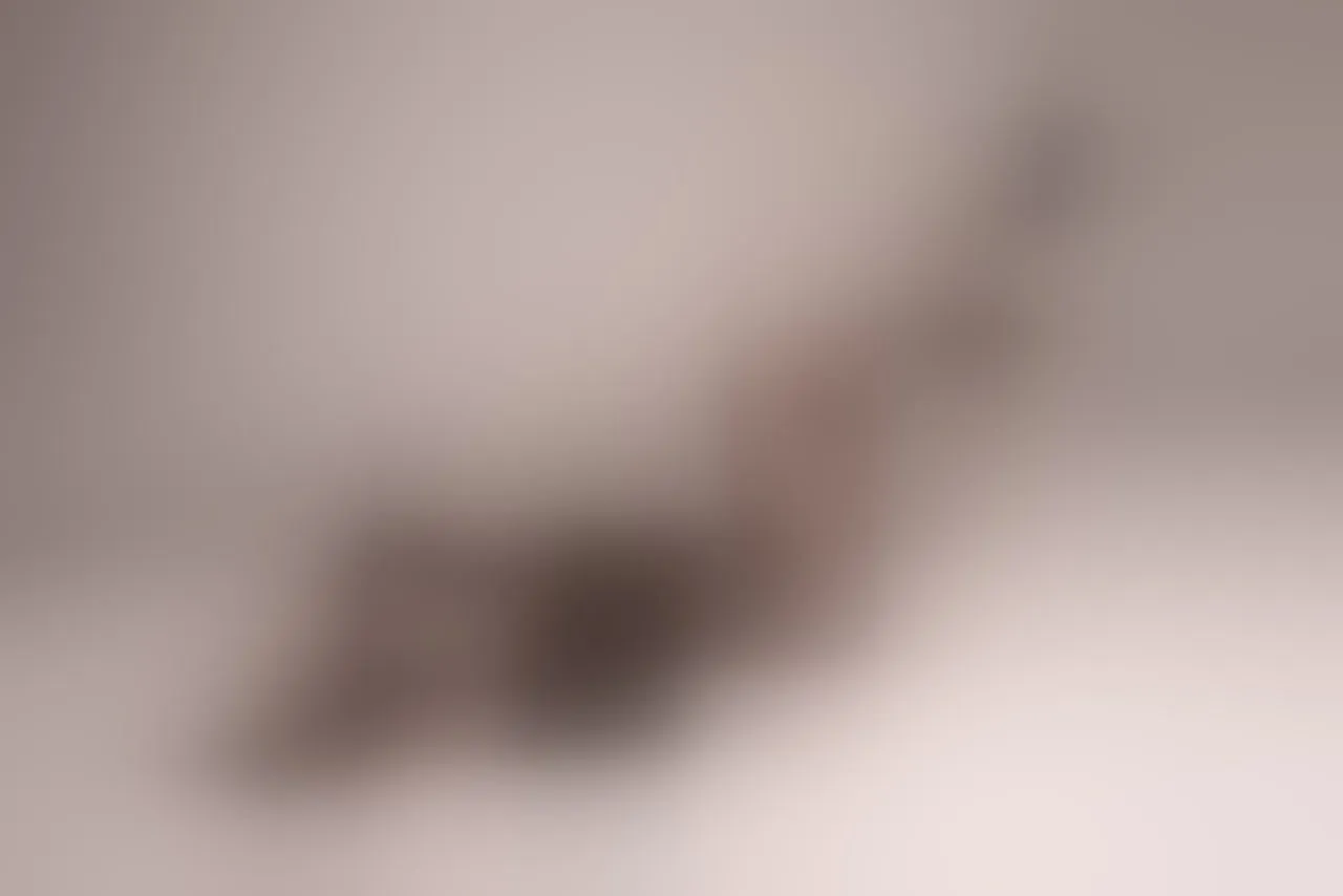 Live sex webcam photo for AmberLeeaf #8668057