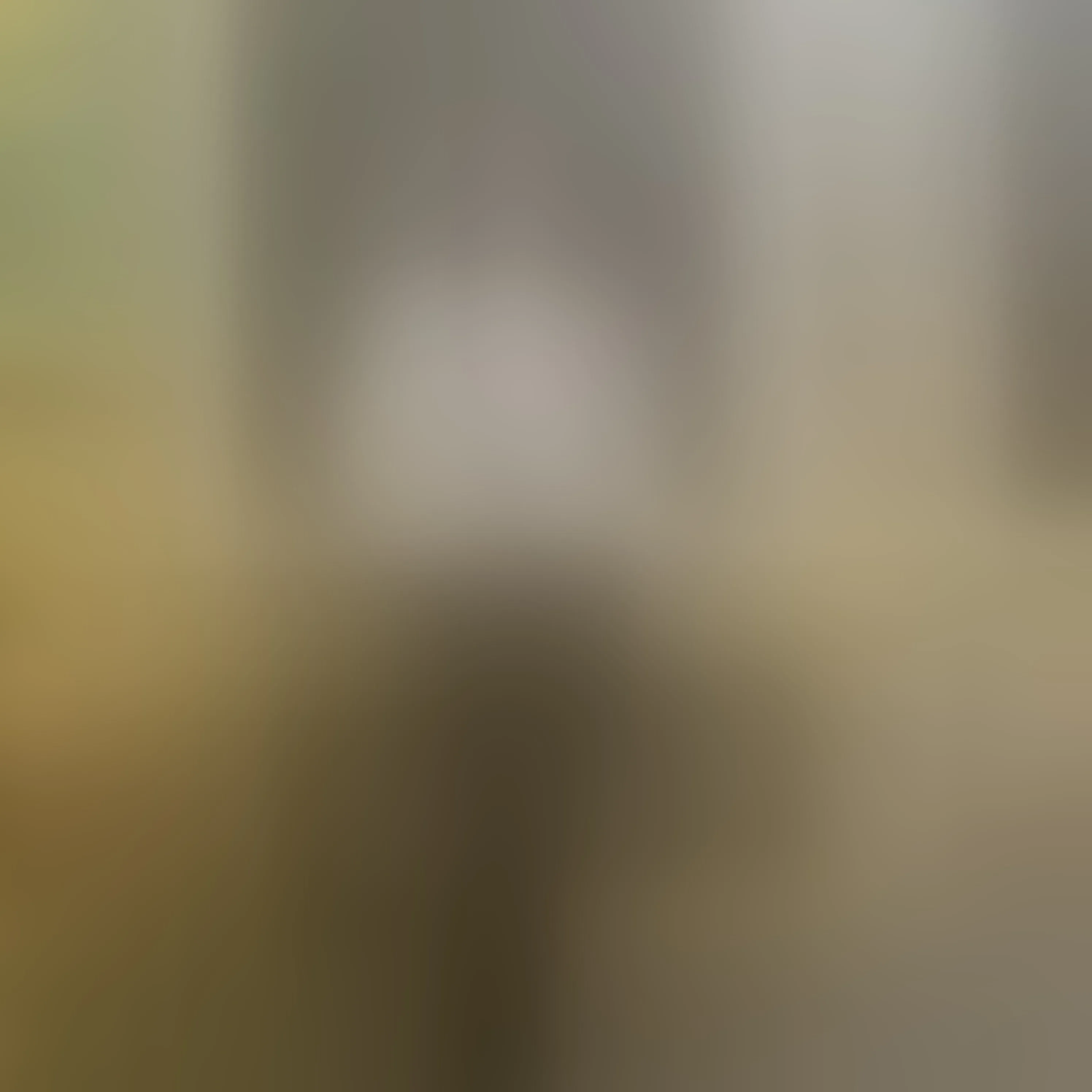 Live sex webcam photo for LizaRussell #7771053