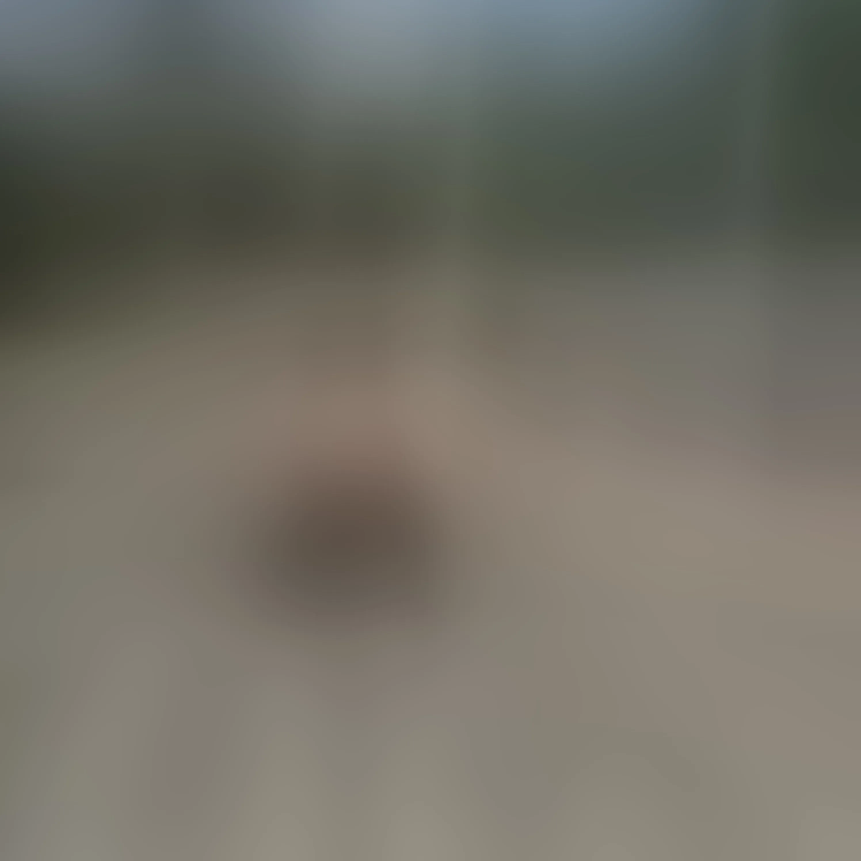 Live sex webcam photo for LizaRussell #7771083
