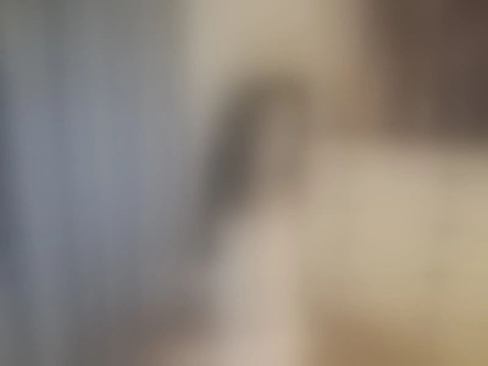 Live sex webcam photo for EmillyTy #8418073