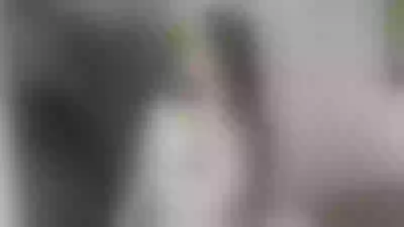 Live sex webcam photo for YummyAlisa #3411213