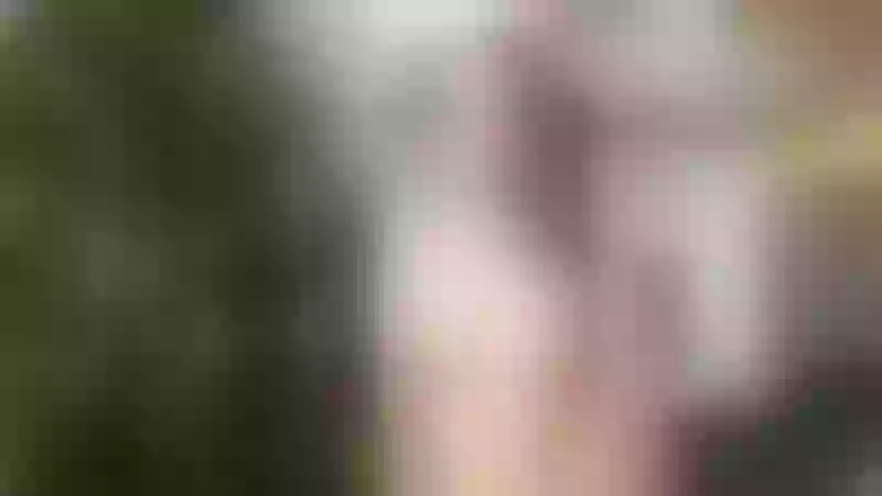 Live sex webcam photo for YummyAlisa #2856029