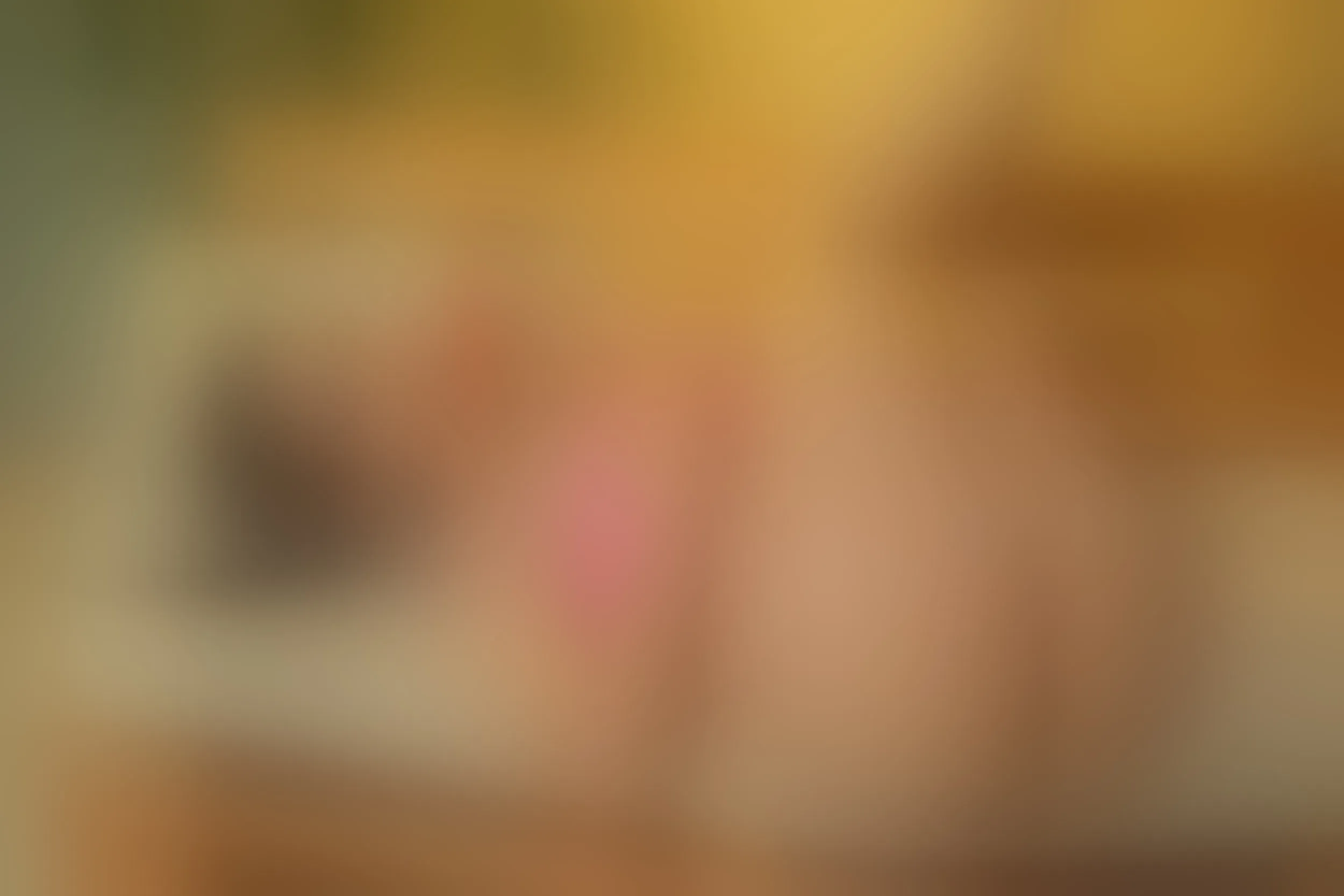 Live sex webcam photo for AlexaColleman #8255542