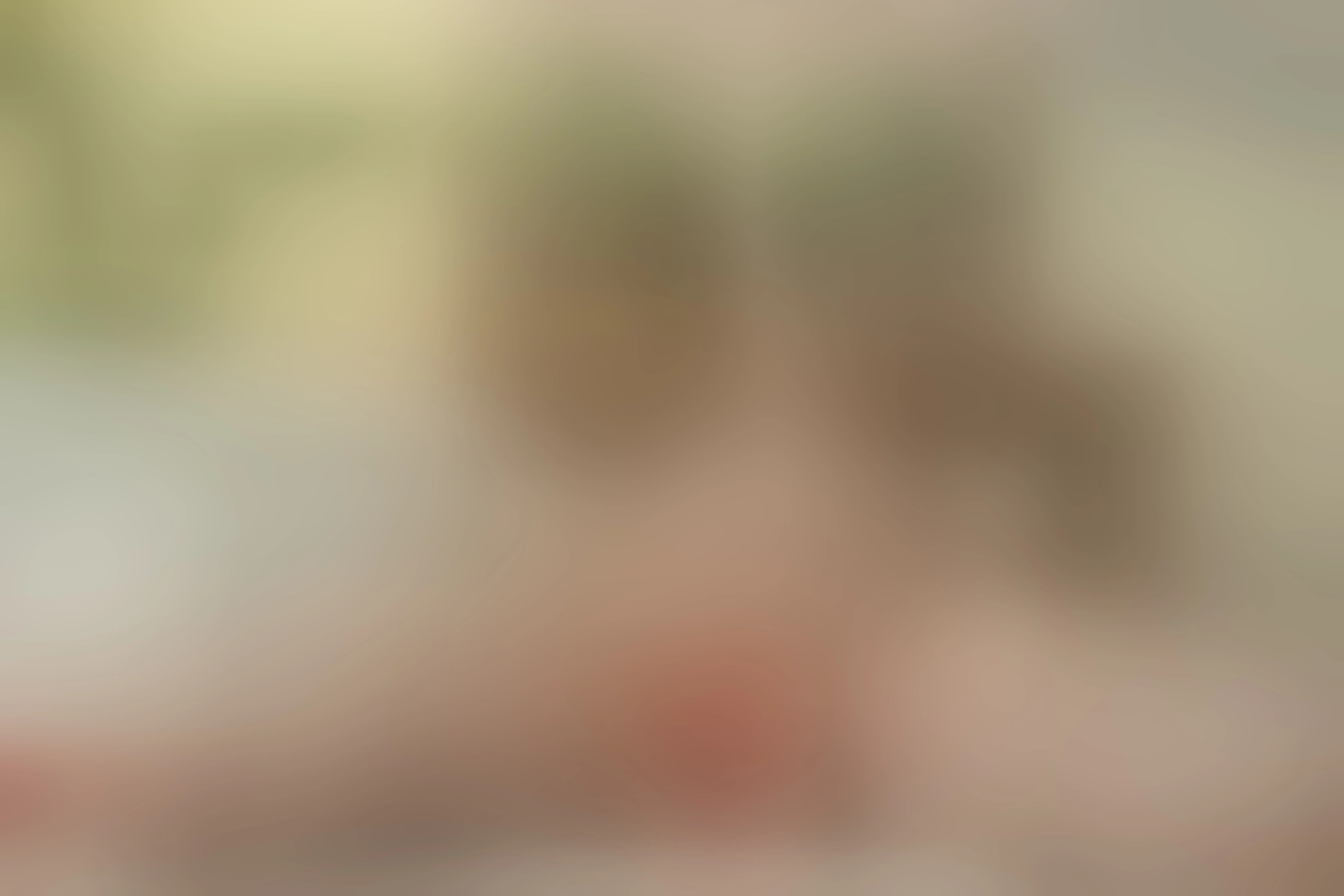 Live sex webcam photo for AlexaColleman #8255549