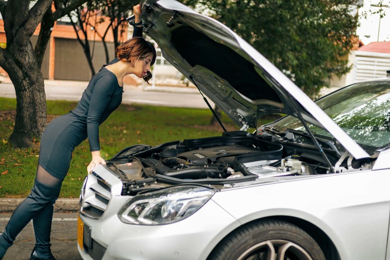 Live sex webcam photo for lourreinStoun #2949929