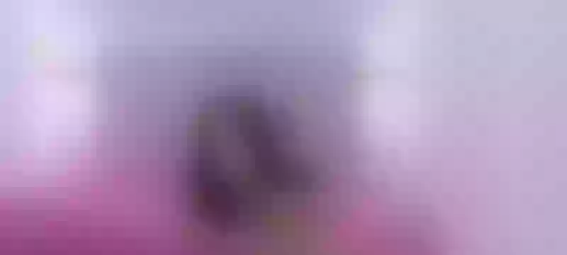 Live sex webcam photo for SlluttyCeleste #3212838