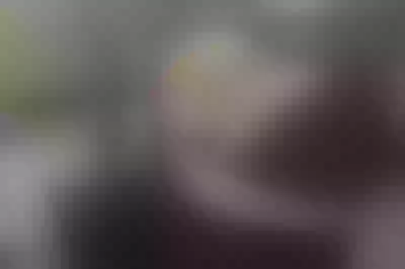 Live sex webcam photo for VoyeurGirl #3623586