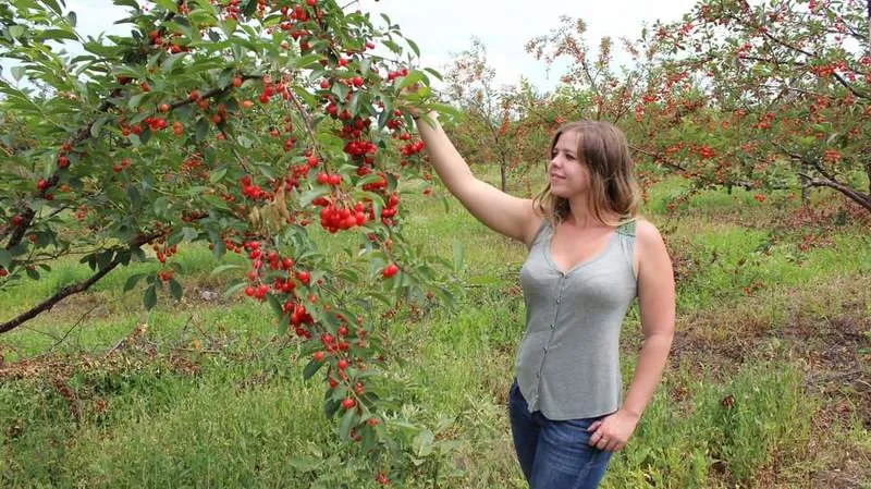 Live sex webcam photo for White_Angel #2372322