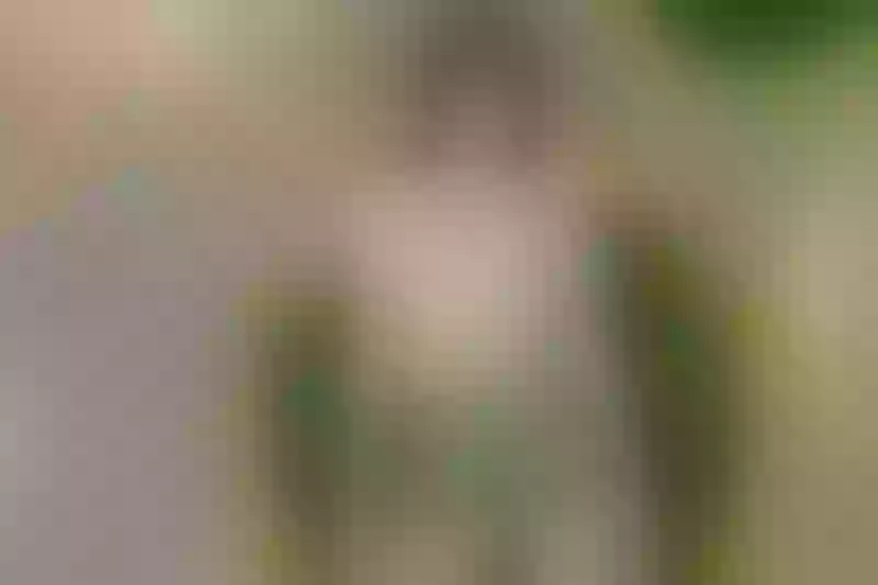 Live sex webcam photo for RachellFox #4099764