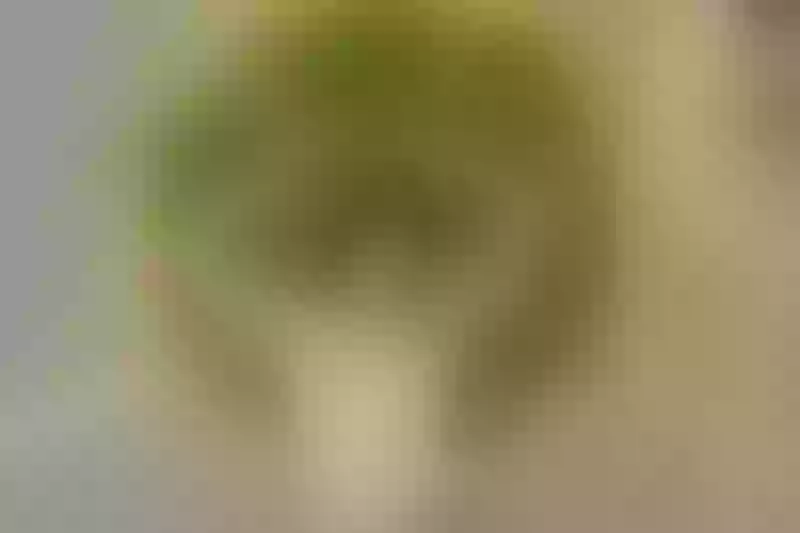 Live sex webcam photo for RachellFox #4099765