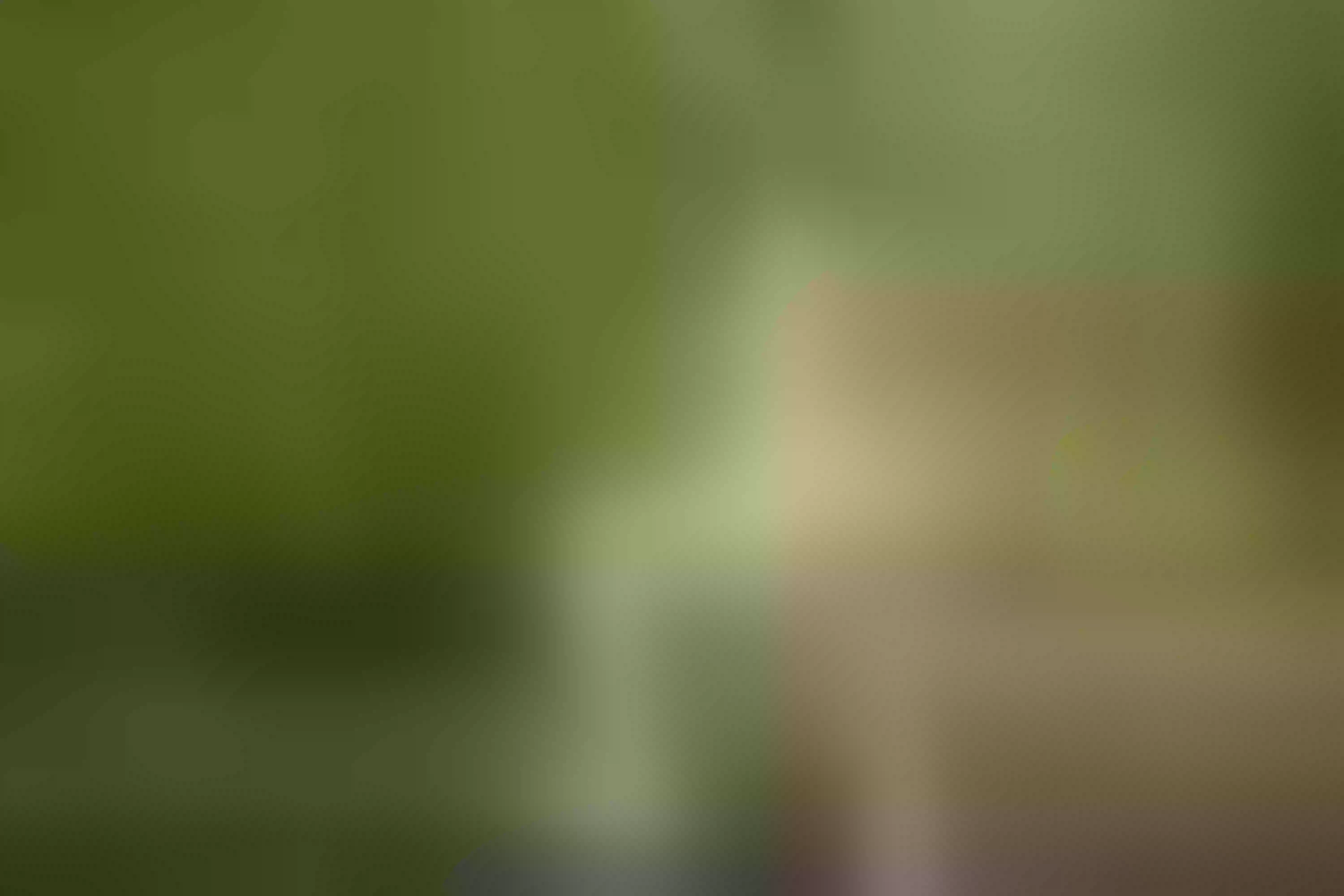 Live sex webcam photo for valeryhxt #8410254