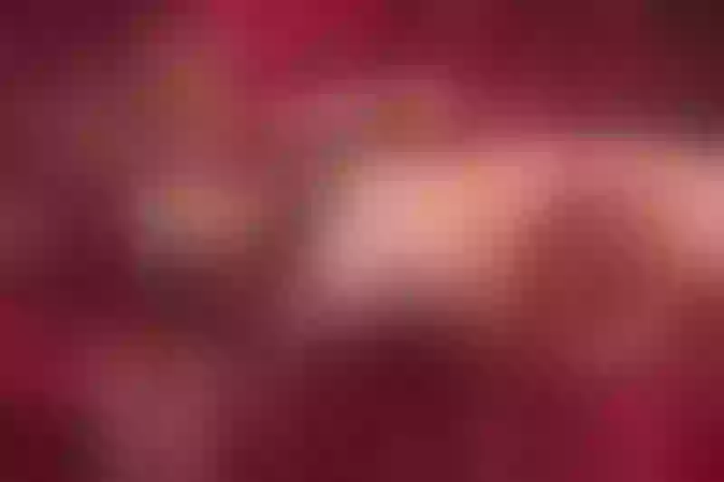 Live sex webcam photo for KathPalmer #6047496