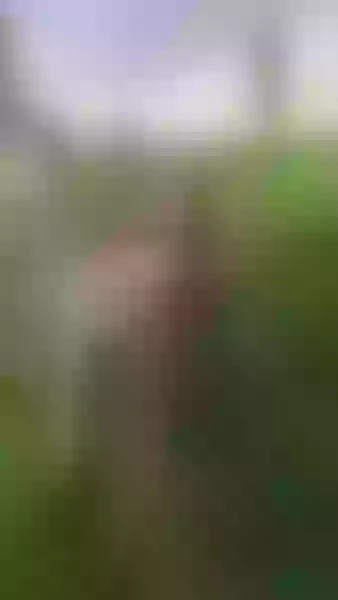Live sex webcam photo for evangelineBlosson #3755359