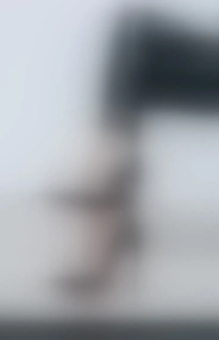 Live sex webcam photo for FrancescaHarris18 #3424081