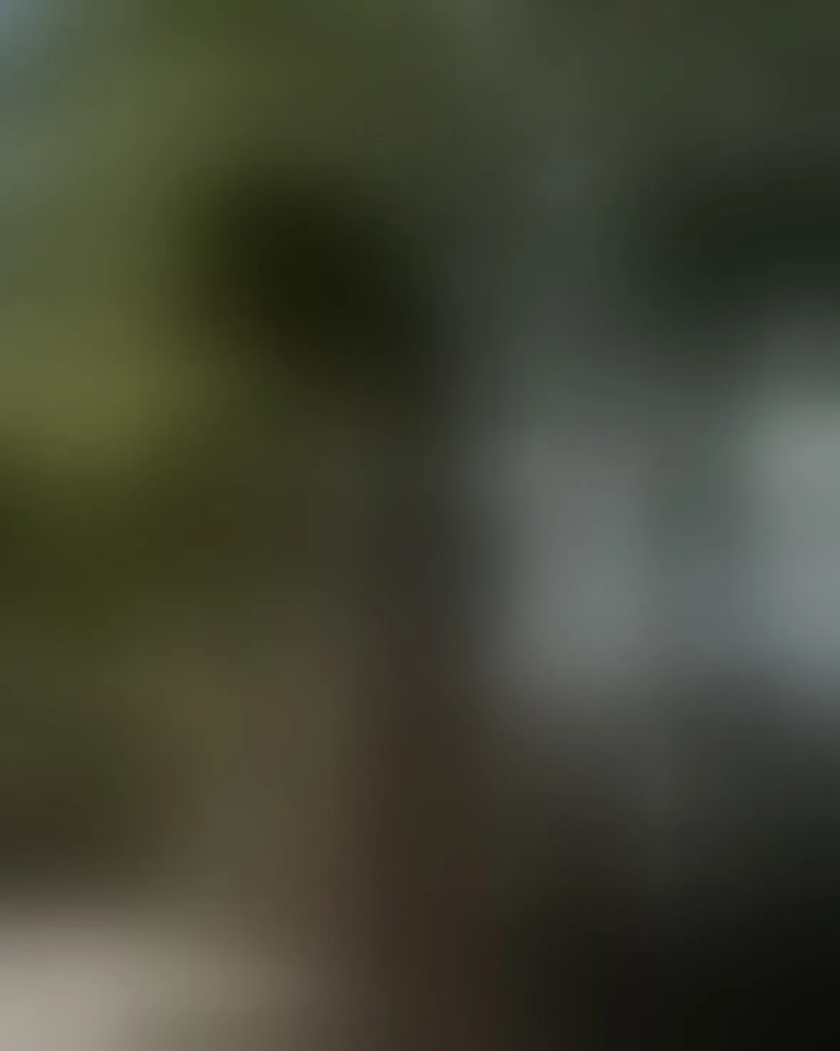 Live sex webcam photo for FrancescaHarris18 #8392138