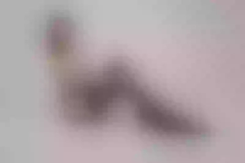 Live sex webcam photo for JuliaBates #2916144