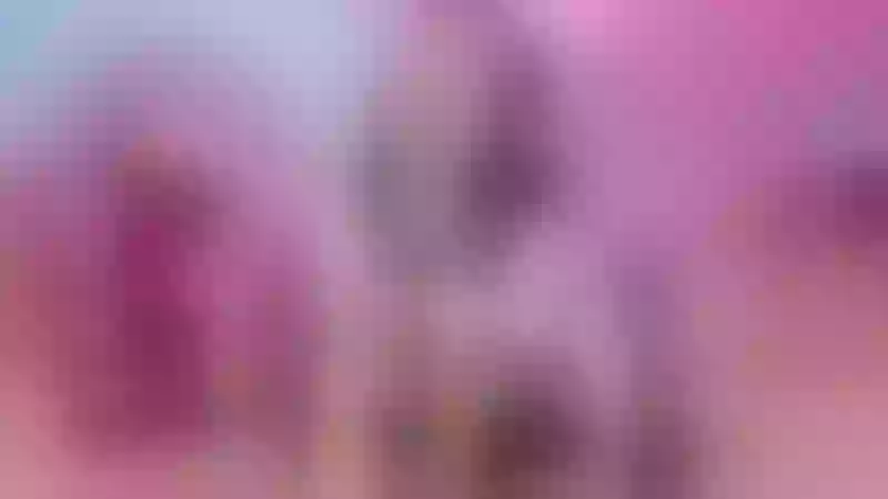 Live sex webcam photo for LoanaCollinss #2932333