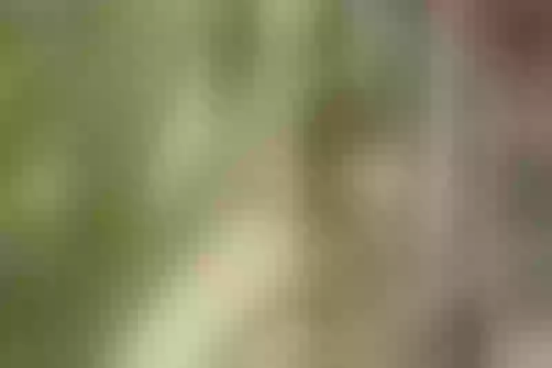 Live sex webcam photo for VictoriaGarnier #6116698