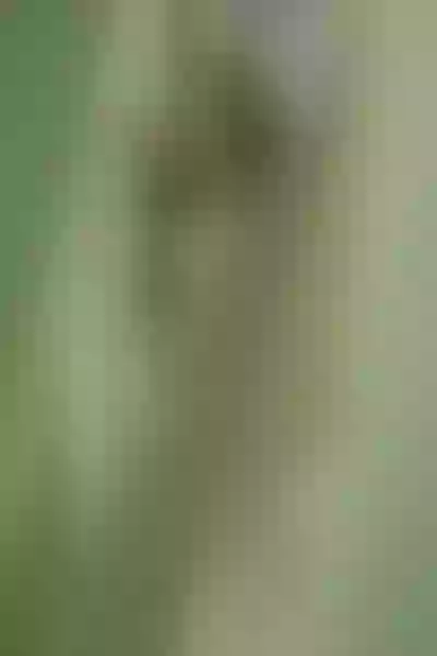 Live sex webcam photo for VictoriaGarnier #6116699