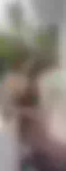 Live sex webcam photo for Anais1980 #3299307