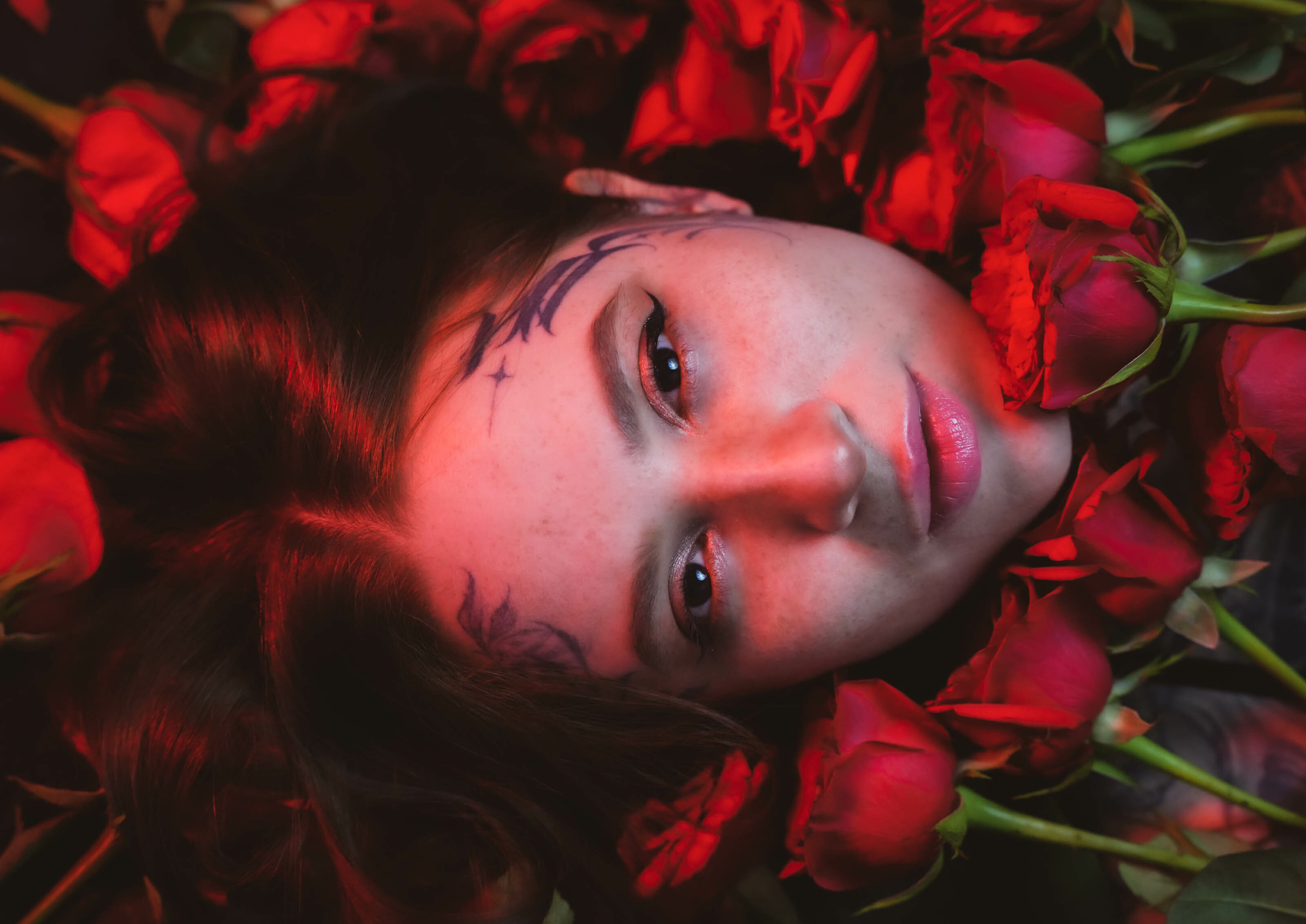 Live sex webcam photo for Leanakoral #7202919