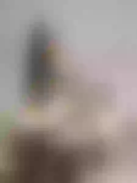 Live sex webcam photo for LindaHalls #3659545